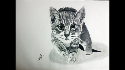 Imagenes De Gatos Para Dibujar A Lapiz