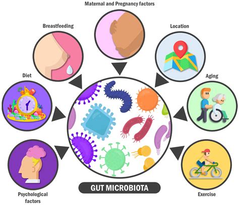 Ijerph Free Full Text Exploring The Relationship Between The Gut