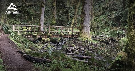 Maybe you would like to learn more about one of these? Best Trails in Dosewallips State Park - Washington | AllTrails