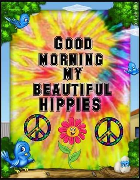 Pin On Hippies ~ ☯~Р€Д¢€☩ŁØұ€~☪