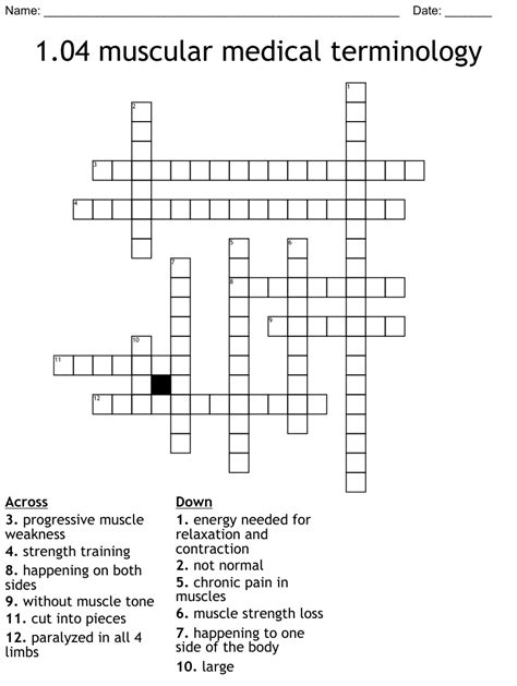 104 Muscular Medical Terminology Crossword Wordmint