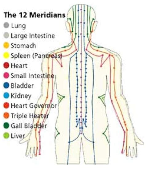 Meridians And Acupressure Rachel Carey Exeter Devon