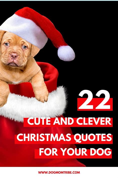 22 Cute And Clever Christmas Quotes For Your Dog Dog Mom Tribe Cute