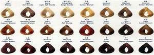 Loreal Hair Color Chart Hair Color Chart Hair Color Chart