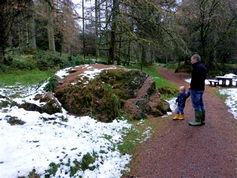 A Large Boulder Gortin Glens Forest © Kenneth Allen Cc By Sa20