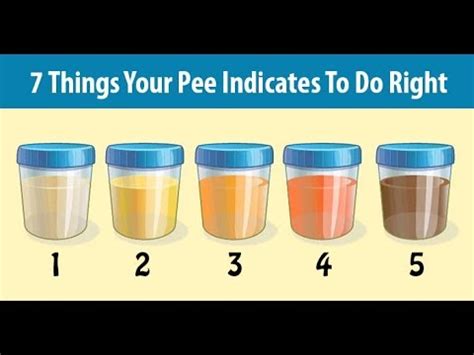 What Is The Meaning Of Urine Color The Meaning Of Color