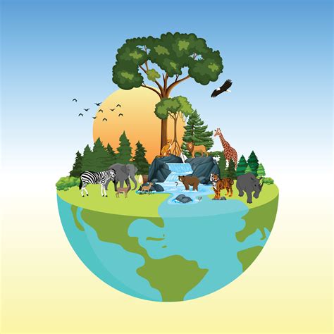 The Life Cycle Of Forest Animals World Wildlife By Animal On Earth