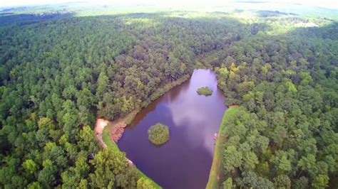 Incredible Land For Sale Pond Privacy And Cabin Included Youtube