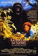 Gorillas im Nebel: DVD, Blu-ray oder VoD leihen - VIDEOBUSTER.de