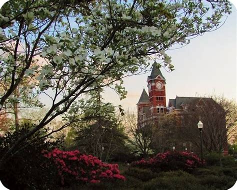 Sweet auburn, loveliest village of the plain, where health and plenty cheared the labouring swain, where smiling spring its earliest visit paid, and parting summer's lingering blooms delayed, dear lovely bowers of innocence and ease, seats of my youth, when every sport could please, Loveliest Village on the Plain | AUBURN GIRL | Pinterest ...