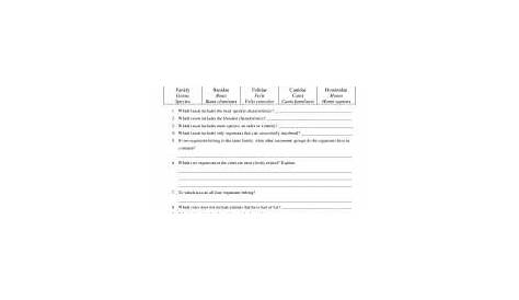 Practice With Taxonomy And Classification Worksheet Answers - Studying