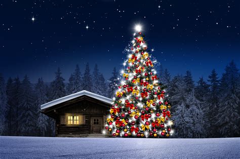 Decorated Large Christmas Tree 4k Ultra Hd Wallpaper Background Image