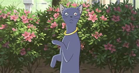 The theme park later canceled the project. Animated Film Reviews: The Cat Returns (2002) - Terrific ...