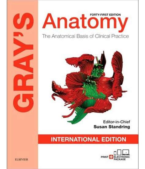 Grays Anatomy The Anatomical Basis Of Clinical Practice