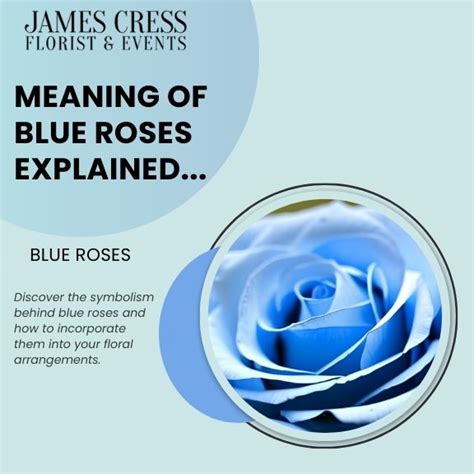 Meaning Of Blue Roses Color And Symbolism James Cress Florist
