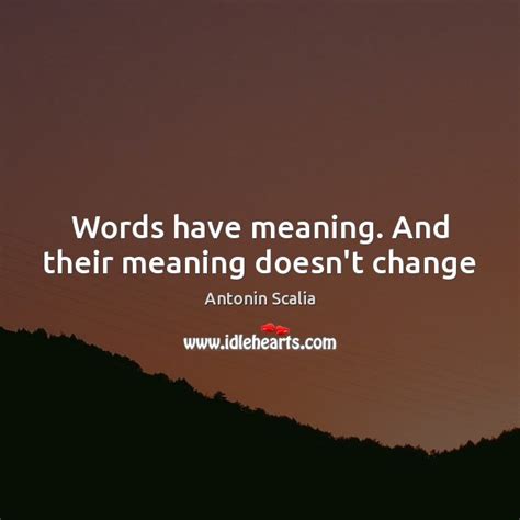 Words Have Meaning And Their Meaning Doesnt Change Idlehearts