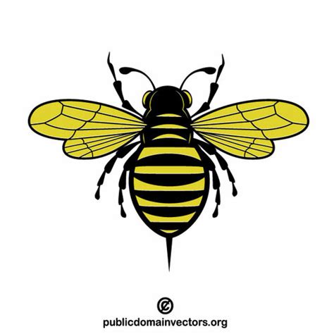 bee insect public domain vectors
