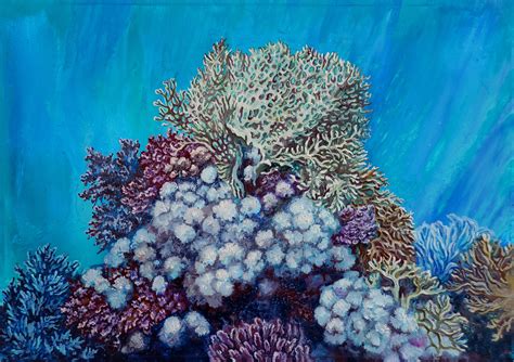 Coral Reef Painting Beautiful Coral Reef Painting Stock Illustration