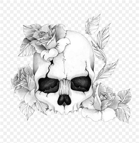 Rose And Skull Drawings
