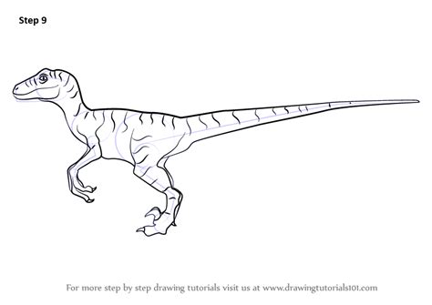 If i had a tablet i could colour it. Step by Step How to Draw a Velociraptor Dinosaur ...
