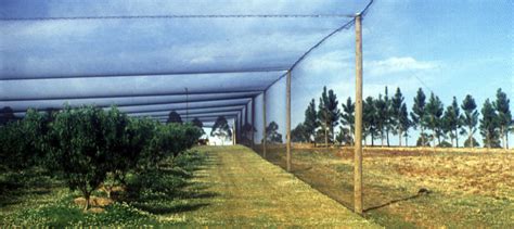 Overall mesh sizes can be 25', 50', 80' and 100' widths and 50', 80' and 100' lengths. Crop Protection
