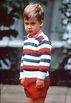 Prince William's Complete Style Evolution, From Overalls To Polos ...