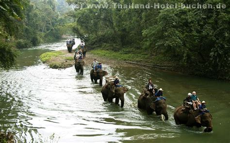Nord Thailand Reisemagazin Mit Buchung Chiang Mai Hotels