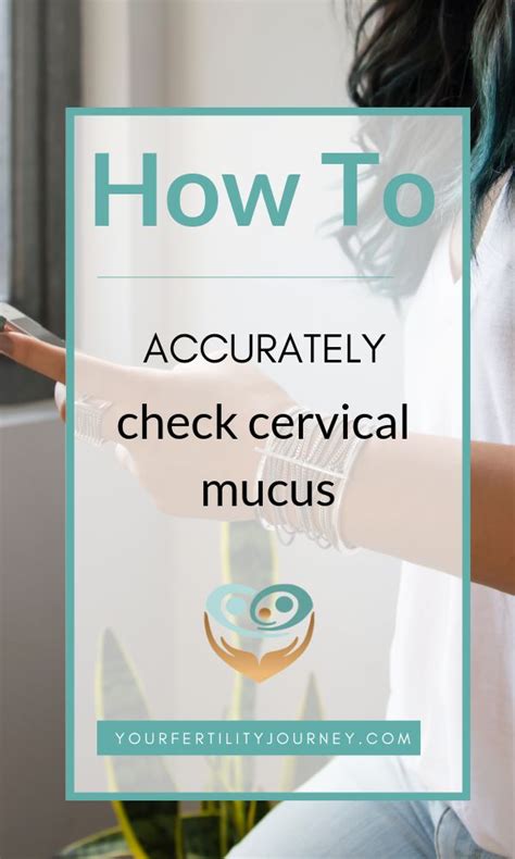 How To Accurately Check Cervical Mucus Your Fertility Journey Helping You Through Yours