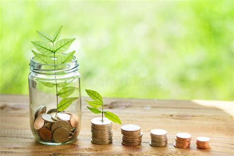 Money In Nature Stock Photo Image Of Agriculture Young 92348362