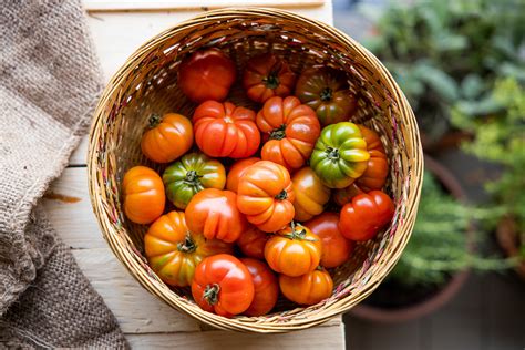 5 Most Popular Italian Tomatoes Tasteatlas