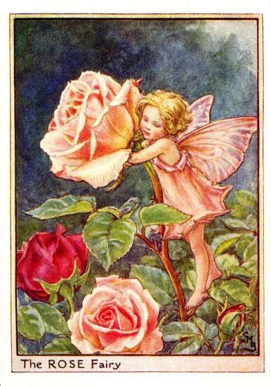 Rose Flower Fairy Vintage Print Cicely Mary Barker The Flower Fairy Shop