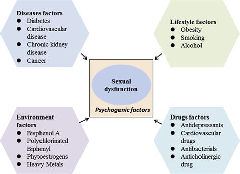 Factors That Determine Sexual Dysfunction Download Scientific Diagram
