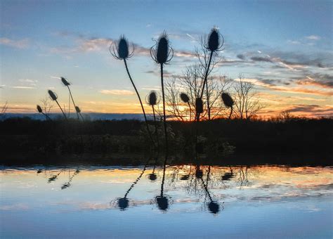 Lake Of Dreams Lake Sunset Explore