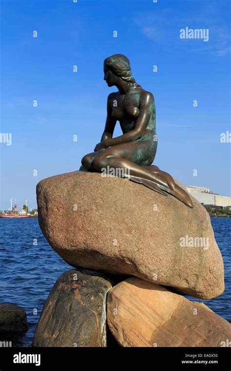 Little Mermaid Statue Copenhagen Zealand Denmark Europe Stock Photo