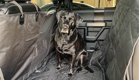 ford f150 dog accessories