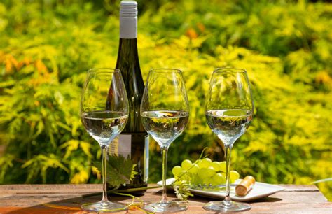 Top 15 German White Wines From Riesling To Silvaner Iwsc