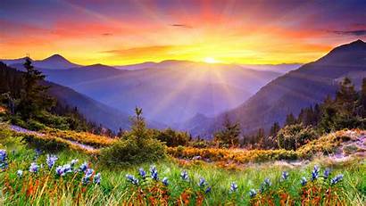 Sunset Mountains Mountain Sun Flowers Desktop Rays