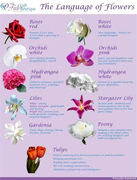Types Of Blue Flowers And Meanings 10 Best Shade Loving Plants