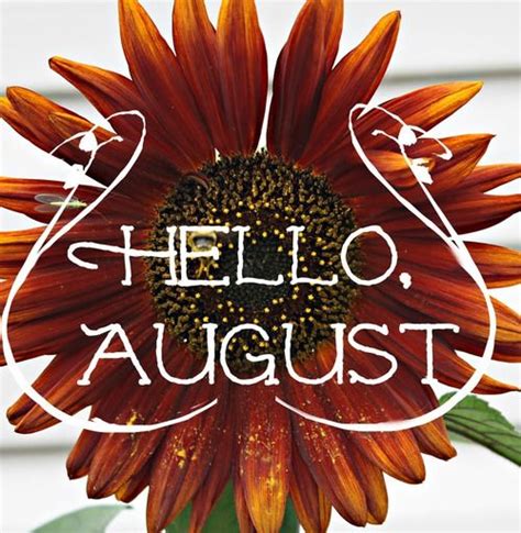 Hello August Pictures Photos And Images For Facebook Tumblr