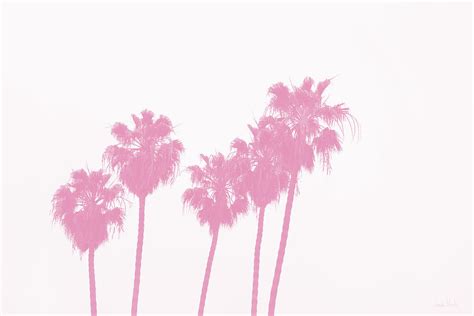 Pink Palm Trees Art By Linda Woods Photograph By Linda Woods
