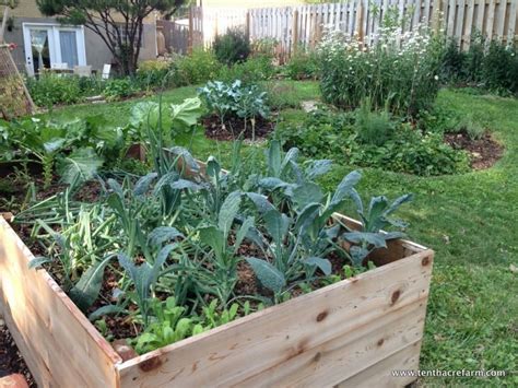 Two Key Benefits Of The Edible Forest Garden Tenth Acre Farm