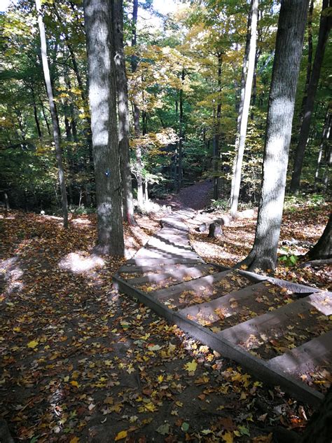 99 Steps Trail In Newmarket Rontario