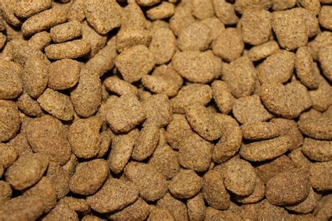 Best Dry Dog Foodkibble For German Shepherds Reviews And Buyers Guide