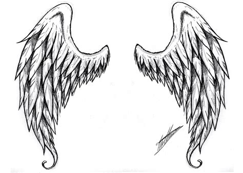 Free Simple Angel Wings Drawing Download Free Simple Angel Wings
