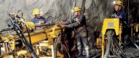 sector minero corporación terralima
