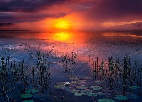 Sunset Nature Bonito Other Hd Wallpaper Peakpx