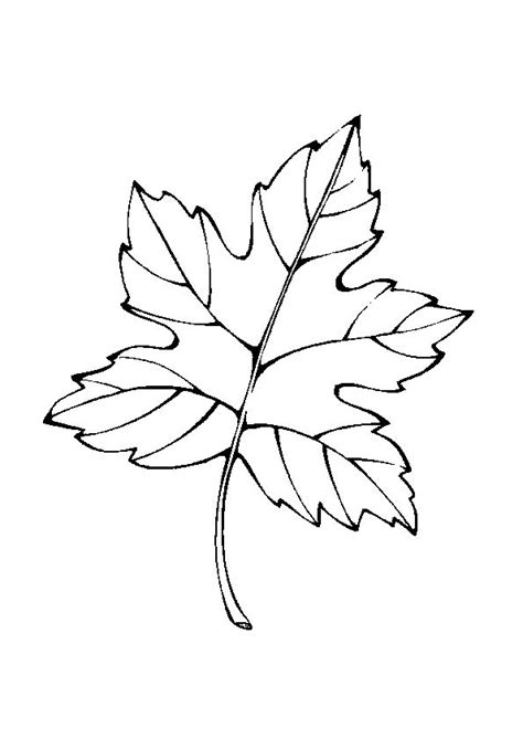 Afbeeldingsresultaat Voor Kleurplaat Herfstblad Leaf Coloring Page