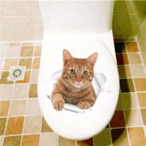 Funny Cats Memes Bathroom Funnymoments Funnyface Funnystuff In 2020