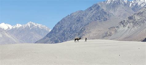 Ladakh Road Trip Khardung La And Nubra Valley The Beautiful Cold