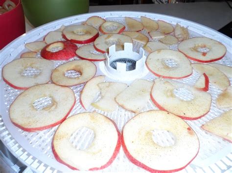 Apple Chips Recipe For Food Dehydrator Apple Chips Recipe Food